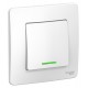 Blanca Белый С/У Выключатель 1-клавишный с подсветкой, 10А, 250B  BLNVS010111  SE