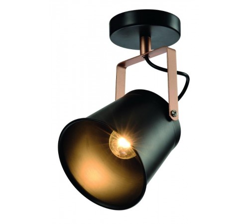 Светильник настенно-потолочный спот  Acuto 7015-701 1 х Е27 40 Вт поворотный уценка   Б0061501  Rivoli