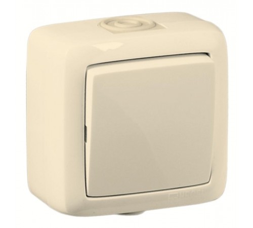 Переключатель открытой установки, одноклавишный, брызгозащищенный, цвет слоновая кость  ВА16-261-01  HEGEL