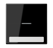 Клавиша для  выключателя с подсветкой и полем для надписи;чёрная  LS990NAKO5SW  Jung