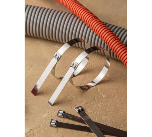 Хомут AISI 304 из нержавеющей стали, 7.9x360 (100 шт.) FlexLock PROximaplc-fl-tss-304-7.9x360EKF