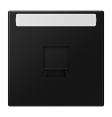 Плата (фиксация защёлкиванием) для одного модуля с полем для надписи; термопласт; черный матовый  LS1969-15NAWESWM  Jung