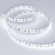 Лента светодиодная RS 2-5000 24V White6000 2x2 8mm (3014, 240 LED/m, LUX)  024462  Arlight