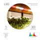 Светодиодная лента для растений  FITO-Strip Light-Rа90-300LED-5m-12V-IP65 полного спектра 5м IP65 с адаптером 12В  Б0064591  ЭРА