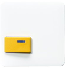 Крышка для изделий фирмы Ackermann; белая CD642DWW Jung