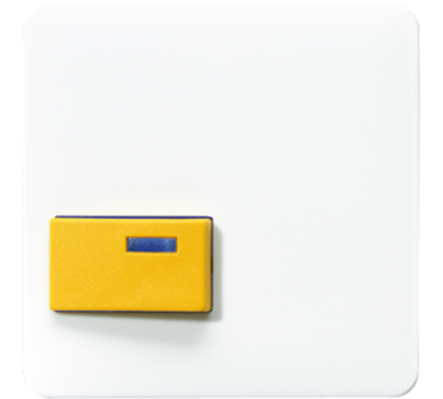 Крышка для изделий фирмы Ackermann; белая CD642DWW Jung