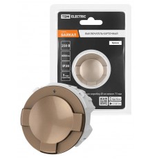 Выключатель карточный 250В 8кВт бронза, "Байкал"   SQ1819-0451  TDM