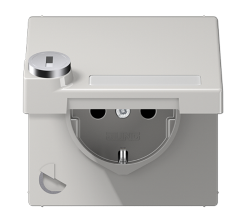 SCHUKO-розетка с крышкой  и замком LS1520NAKLSLLG Jung