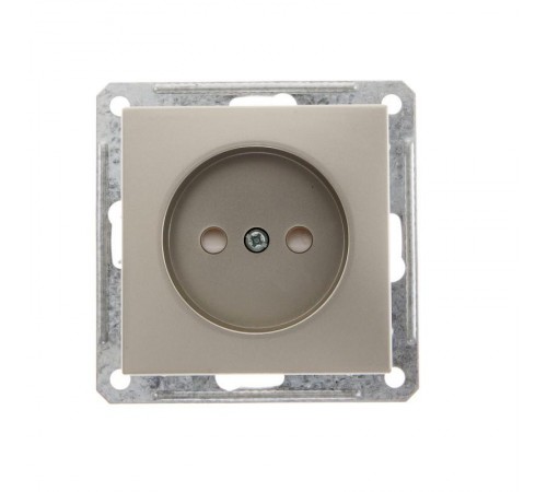 W59 Шампань Розетка без заземления  RS16-151-4-86  SE