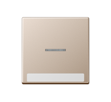 Клавиша с полем для надписи A590BFNAKO5CH Jung