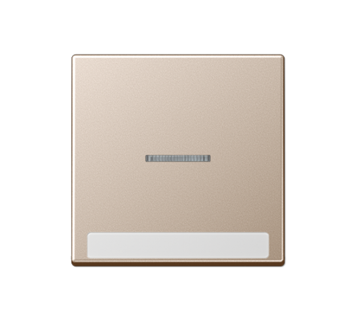 Клавиша с полем для надписи A590BFNAKO5CH Jung