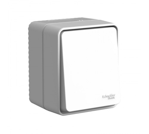 AtlasDesign Profi54 Серый О/У Переключатель 1-клавишный 10 АХ  ATN543061  SE