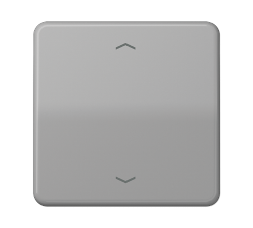 Центральная плата для вставок управления двигателями CD1700PGR Jung