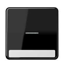 Клавиша с окошком для выключателя с подсветкой и полем для надписи; черная  CD590NAKO5SW  Jung