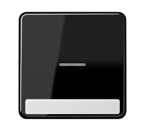 Клавиша с окошком для выключателя с подсветкой и полем для надписи; черная  CD590NAKO5SW  Jung