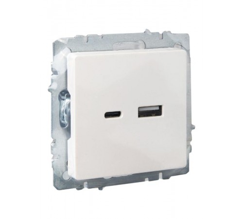 BRITE Розетка USB A+C 18Вт РЮ11-1-БрЖ жемчужный  BR-U22-018-K36  IEK