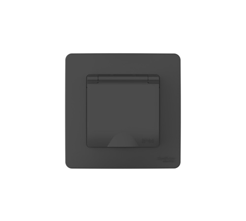 Blanca Антрацит С/У IP44 Розетка с заземлением со шторками, с крышкой, 16А, 250В  BLNRS441116   SE