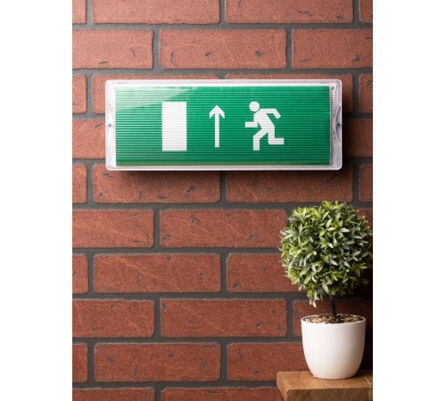 Пиктограмма "Направление прямо" 240х95мм (для SAFEWAY-10)  pkal-02-05  EKF