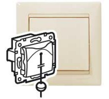 Valena Сл. кость Выключатель кнопочный со шнурком  774319  Legrand