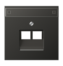 Крышка для сдвоенной телефонной и компютерной розетки  UAE с полем для надписи; антрацит  AL2969-2NAUAAN  Jung