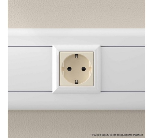 Розетка "Ванильная дымка", 2P+E, с з/ш, "Avanti", 2 мод.  4405002  DKC