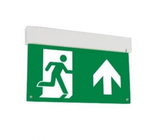 Световой указатель аварийного освещения светодиодный Flip Basic 3W IP20 1.5ч  V1-R0-70617-02A02-2000365  VARTON