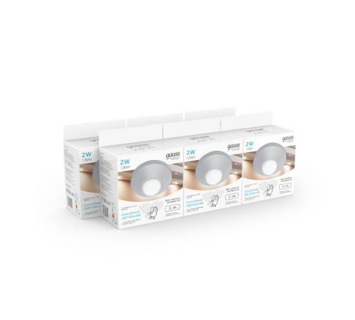 Светильник светодиодный многофункциональный автономный 2W (круг, серебро)   CL002  Gauss