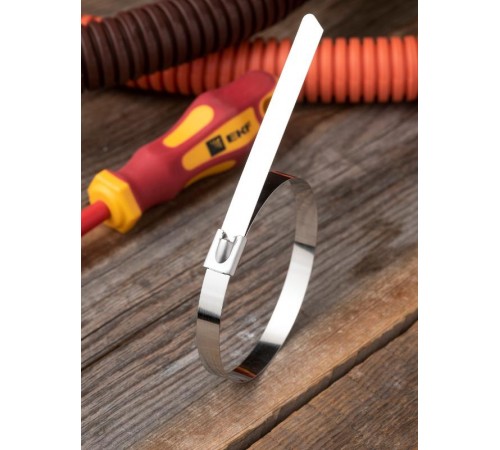 Хомут AISI 304 из нержавеющей стали, 7.9x290 (100 шт.) FlexLock PROximaplc-fl-tss-304-7.9x290EKF