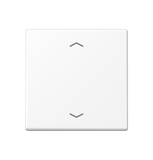 Центральная плата стандарт с символами "стрелки"; термопласт; белый матовый  A1700BFPWWM  Jung