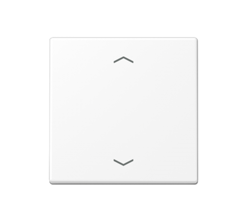 Центральная плата стандарт с символами "стрелки"; термопласт; белый матовый  A1700BFPWWM  Jung