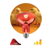 Инфракрасная лампа  ИКЗК 230-100 R95 E27 кратность 1 шт для обогрева животных и освещения 100 Вт  Б0062411  ЭРА