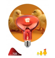 Инфракрасная лампа  ИКЗК 230-100 R95 E27 E27 для обогрева животных и освещения 100 Вт  Б0062000  ЭРА