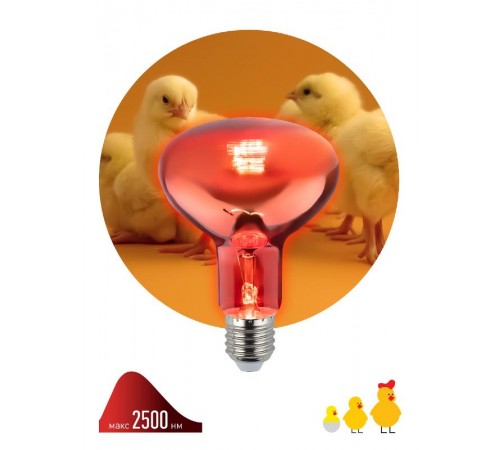 Инфракрасная лампа  ИКЗК 230-100 R95 E27 кратность 1 шт для обогрева животных и освещения 100 Вт  Б0062411  ЭРА