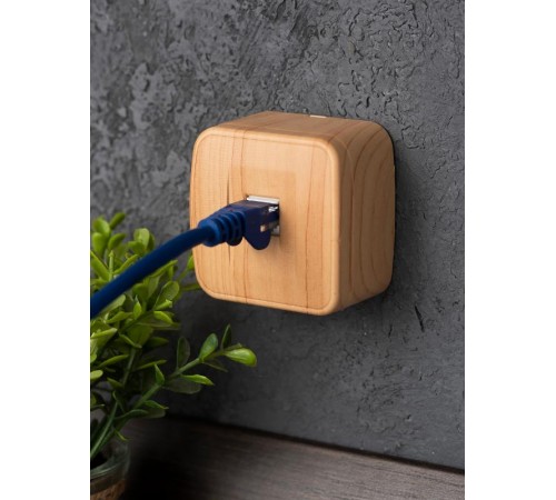 Розетка RJ-45 1-местная ОП Минск, 1А, 120В, светлое дерево EKF  EGK01-035-30  EKF