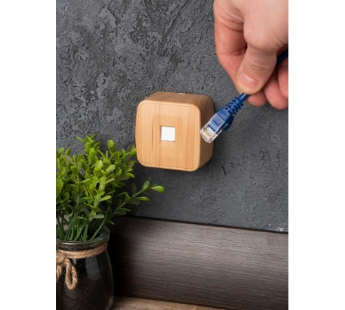 Розетка RJ-45 1-местная ОП Минск, 1А, 120В, светлое дерево EKF  EGK01-035-30  EKF