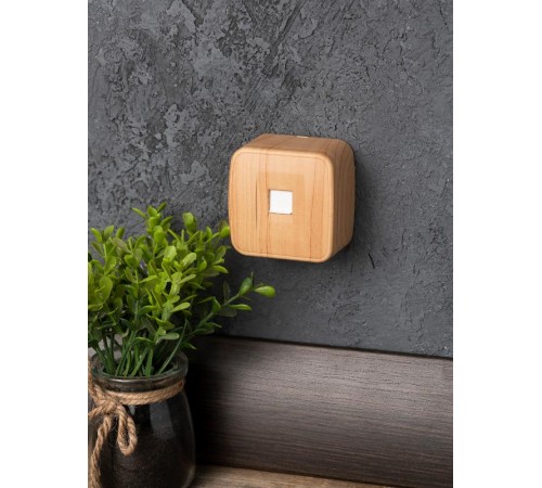 Розетка RJ-45 1-местная ОП Минск, 1А, 120В, светлое дерево EKF  EGK01-035-30  EKF