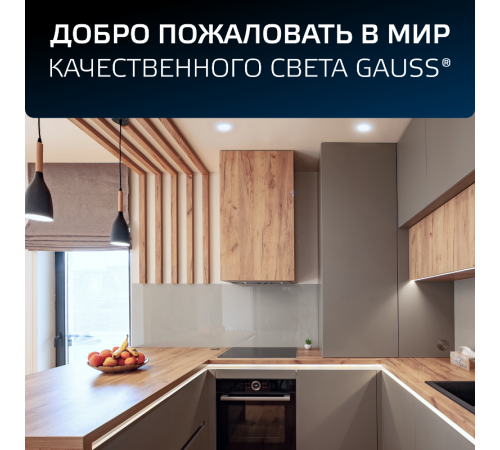 Светильник  Elementary Downlight круг 10W 780lm 4000K 170-260V IP20 120*26 монтаж 90-110мм белый LED 1/100  997420209  Gauss