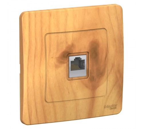 Blanca Ясень С/У Розетка компьютерная RJ45  BLNIS045005  SE