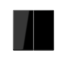 Двойная клавиша для балансирных механизмов выключателей (кнопок), в комплекте с AS90-5HP (крепежный элемент), возможно IP44; дюропласт; черный; A500 