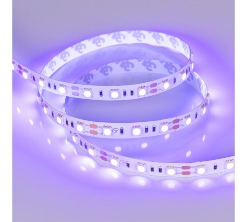 Лента светодиодная RT-B60-10mm 12V UV400 (14.4 W/m, IP20, 5060, 5m) (arlight, Открытый)  012815(2)  Arlight