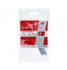 Шпилька сантехническая 10х100 ( 2шт) - пакет  137024  Tech-KREP