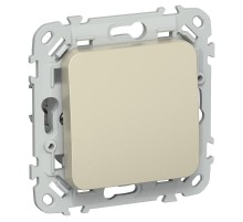 FLITE Выключатель 1-клавишный, 2-полюсный 10А ВС6/21-1-2-ФлШ шампань  FI-V10-1-10-1-2-K37  IEK