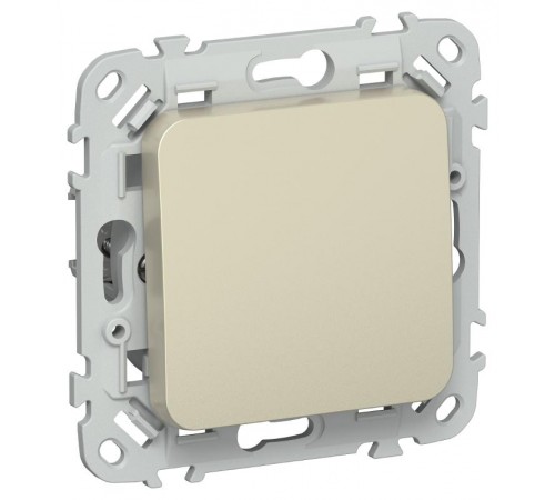 FLITE Выключатель 1-клавишный, 2-полюсный 10А ВС6/21-1-2-ФлШ шампань  FI-V10-1-10-1-2-K37  IEK
