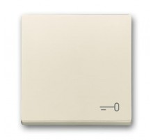 Клавиша для механизма 1-клавишного выключателя, c символом ""КЛЮЧ"" Future/Axcent/Carat/Династия, слоновая кость"  2CKA001751A3197  ABB