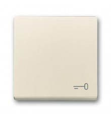 Клавиша для механизма 1-клавишного выключателя, c символом ""КЛЮЧ"" Future/Axcent/Carat/Династия, слоновая кость"  2CKA001751A3197  ABB