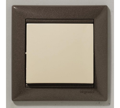 Valena Сл. кость Выключатель 1-клавишный  774301  Legrand