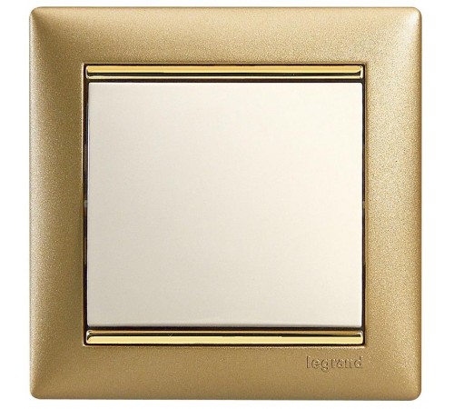 Valena Сл. кость Выключатель 1-клавишный  774301  Legrand