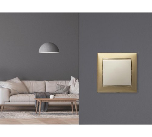 Valena Сл. кость Выключатель 1-клавишный  774301  Legrand