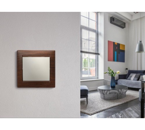 Valena Сл. кость Выключатель 1-клавишный  774301  Legrand