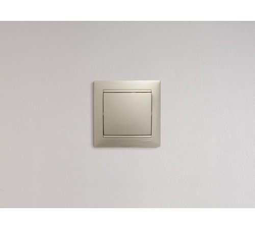 Valena Сл. кость Выключатель 1-клавишный  774301  Legrand